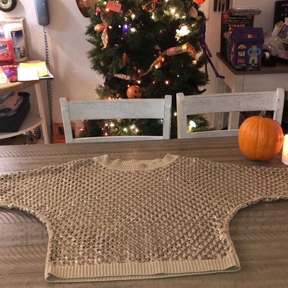 Sparkle ❇️ and Shine ✨ in this Sequins Sweater. Neutral All Season Fall 2 Cruise - Picture 2 of 16